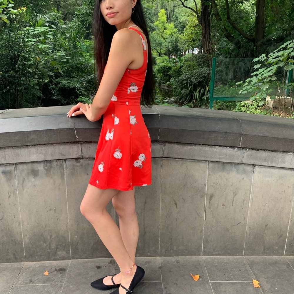 Red Floral Skater Dress